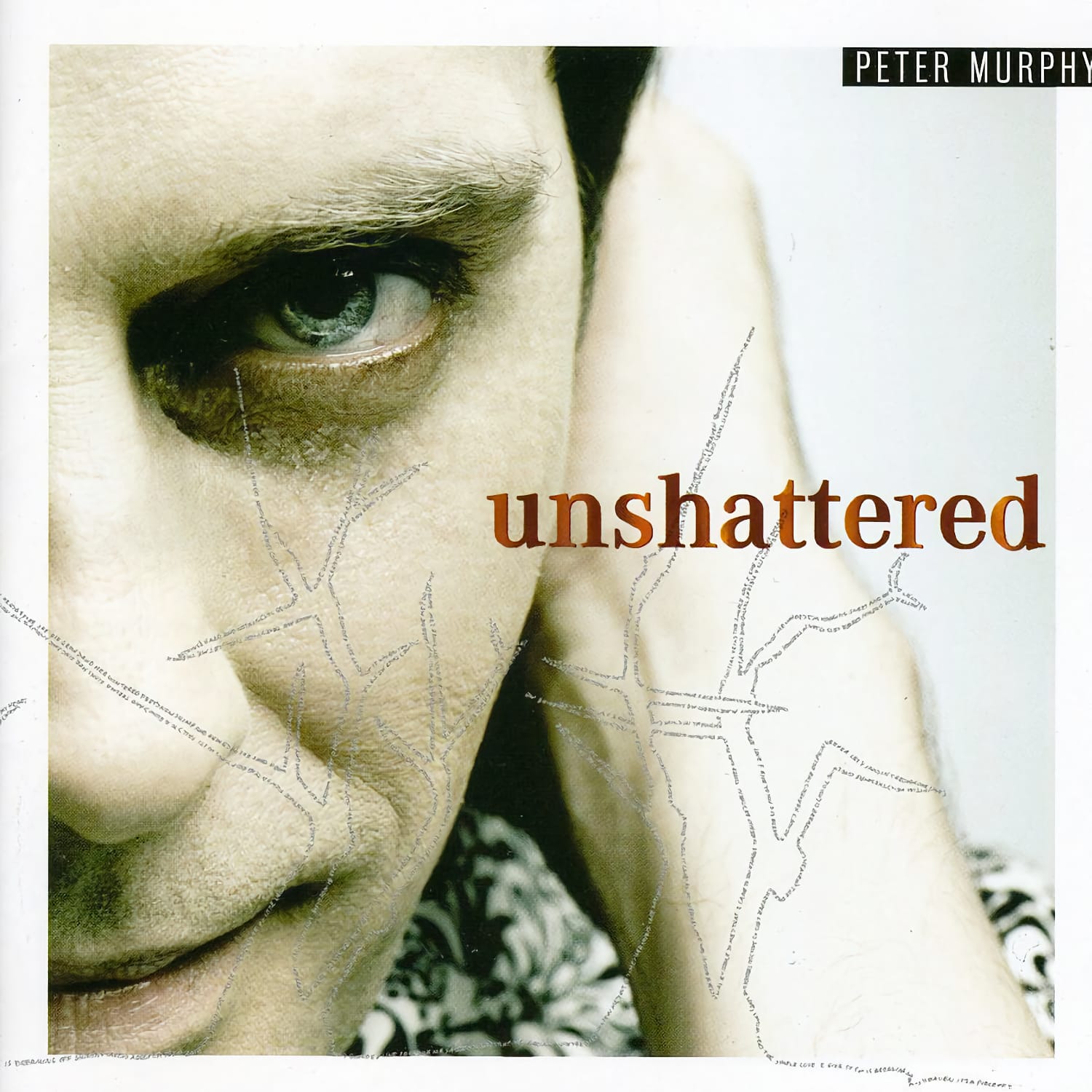 Peter Murphy - Unshattered